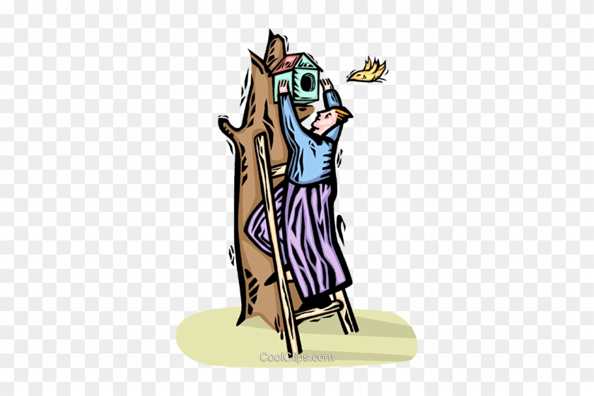 Man Putting Up A Birdhouse Royalty Free Vector Clip - Cartoon #1409794