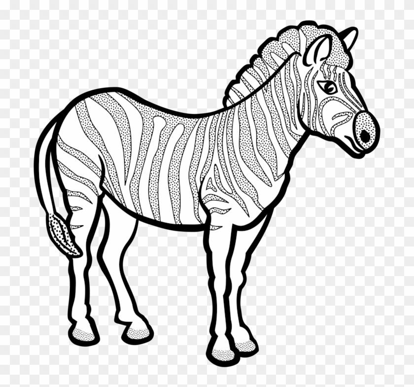 Line Art Zebra Black And White - Line Art Of Zebra #1410039