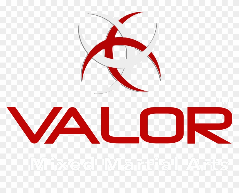 Valor Mixed Martial Arts - Logo #1410105