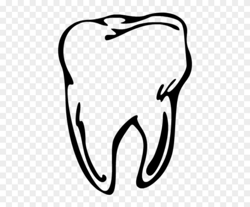 Permalink To Molar Clip Art - Molar Tooth Clipart #1410482