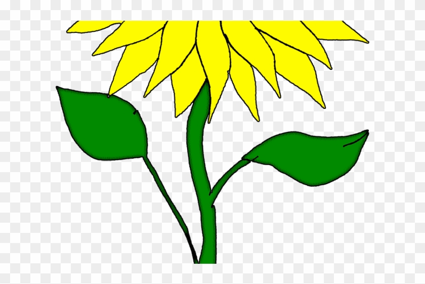 Sunflower Clipart Bud - Clip Art Sunflower Stem #1410797