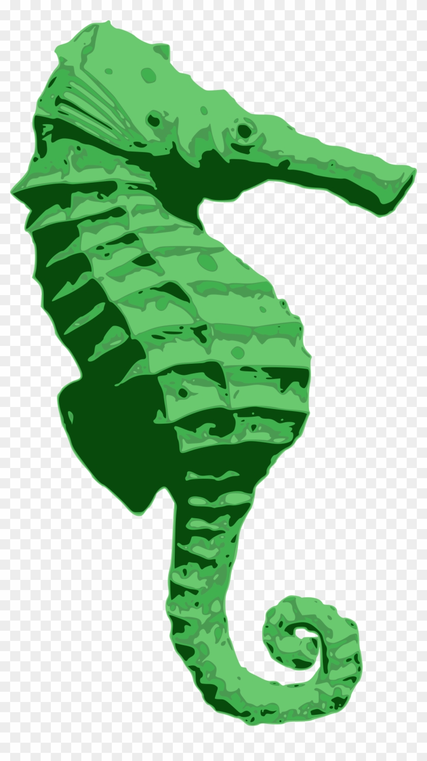 Big Image - Pipefishes And Allies #1410875