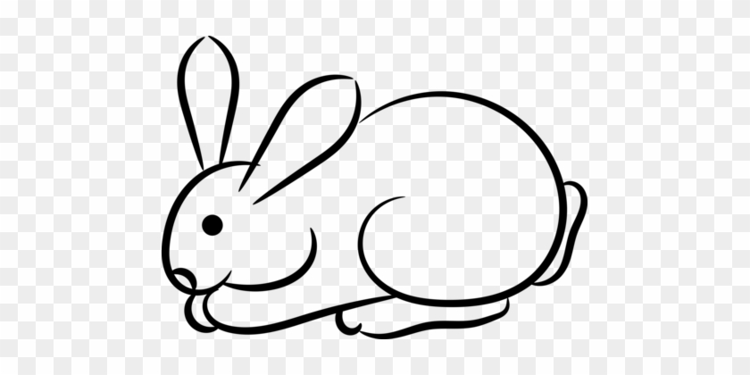 Holland Lop Lionhead Rabbit Arctic Hare Domestic Rabbit - Cartoon White Rabbit Png #1410937