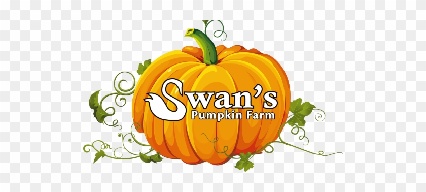 Swan's Pumpkin Farm In Racine County - Swans Pumpkin Farm #1411070