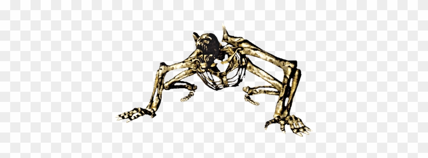 Dark Souls Skeleton Beast - Esqueletos Dark Souls #1411214