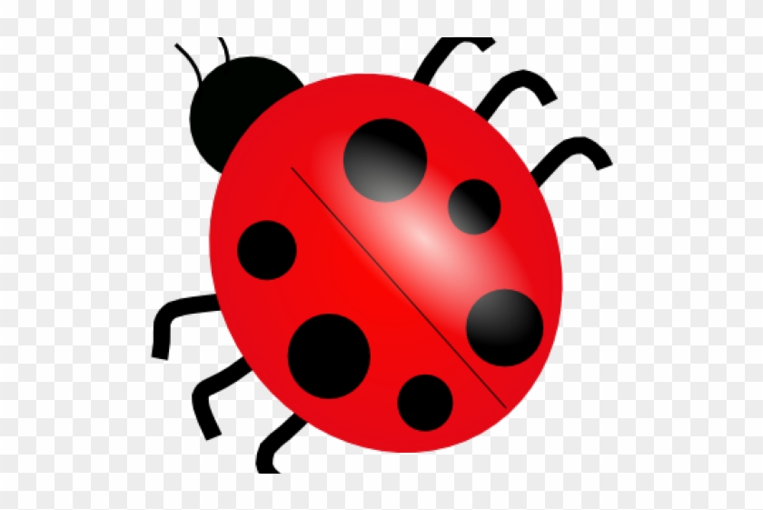 Ladybug Clipart Public Domain - Dibujo De Una Mariquita #1411247