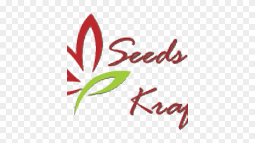 Kraft Seeds - Seed #1411271