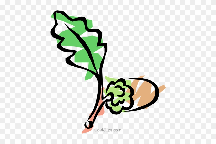 Acorn With Oak Leaf Royalty Free Vector Clip Art Illustration - Acorn With Oak Leaf Royalty Free Vector Clip Art Illustration #1411349
