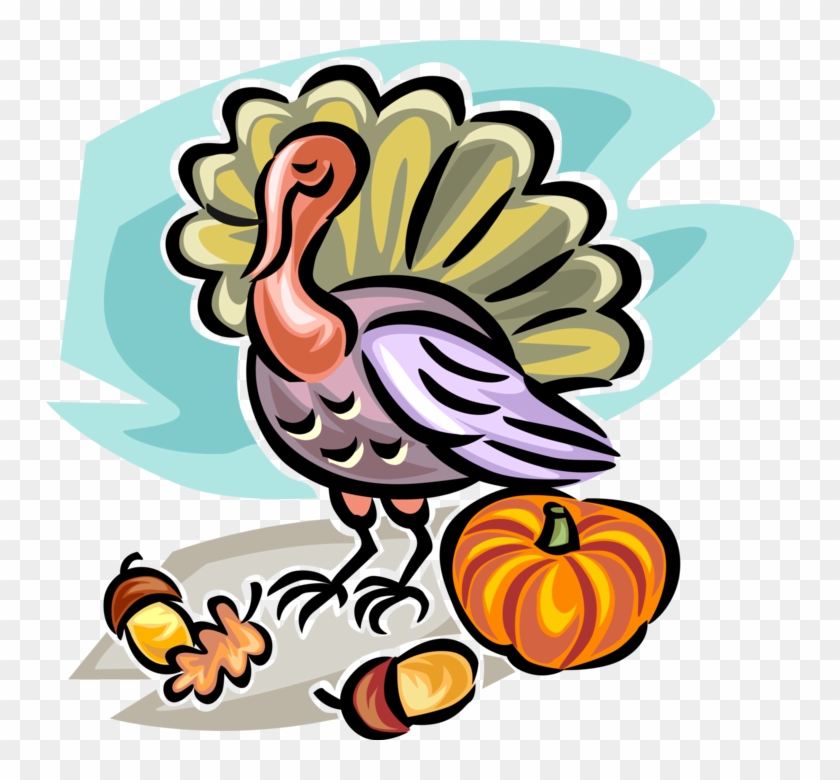 Pumpkin, Acorn And Turkey Royalty Free Vector Clip - Pumpkin, Acorn And Turkey Royalty Free Vector Clip #1411360