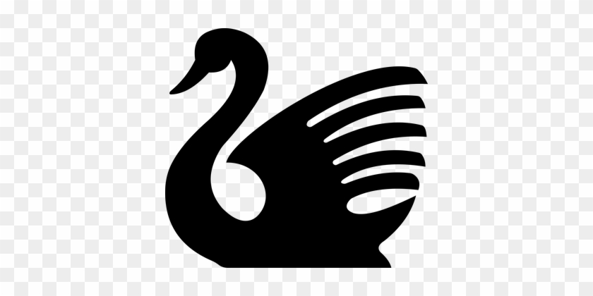 Swan Bird Animal Aquatic Water Swim Fly Fl - Swan Silhouette Png #219270