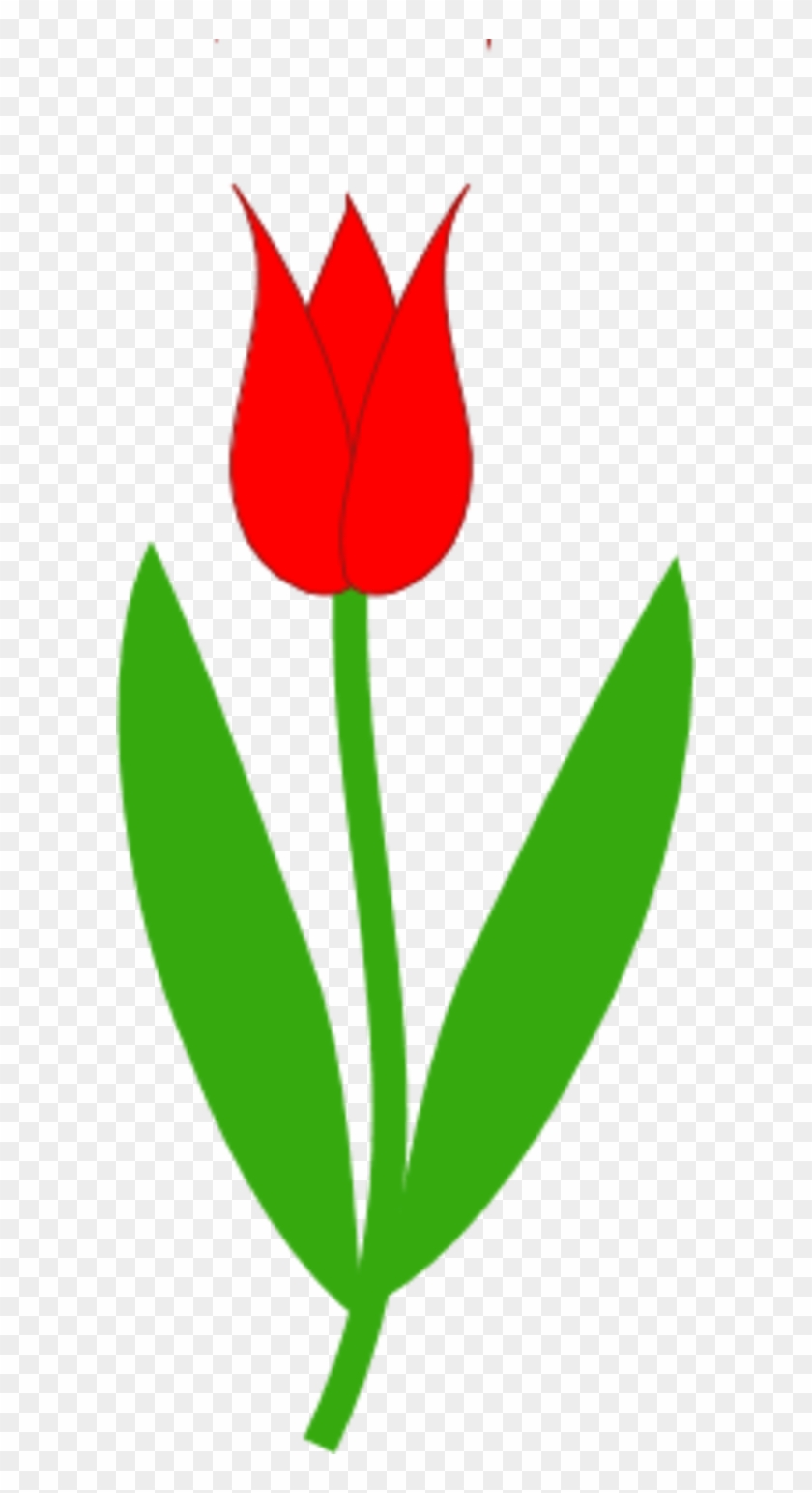 Tulip Clip Art Leaves Clipart Free Download - Clip Art #219316