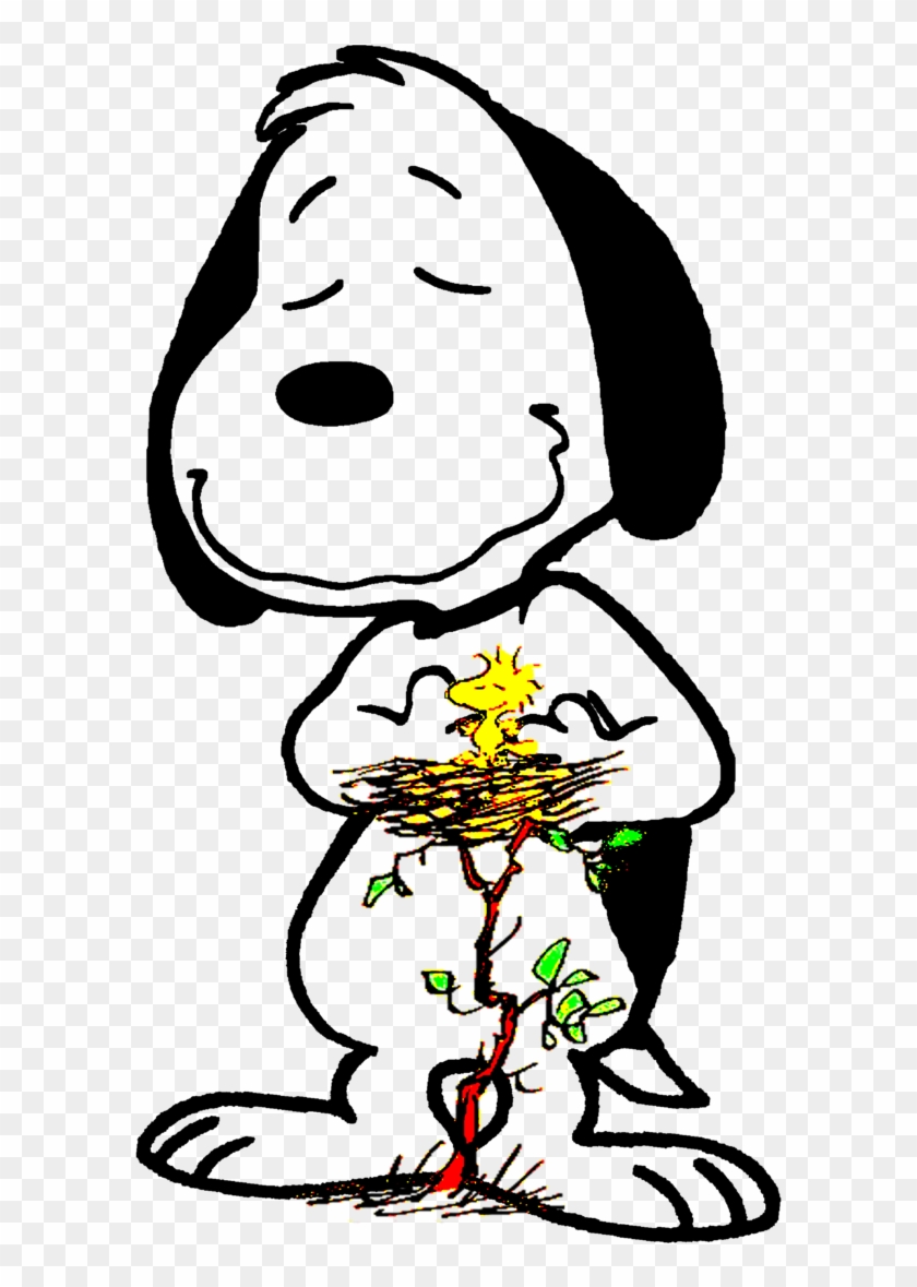 O Grande Amigo E Protetor Do Woodstock By Bradsnoopy97 - Woodstock Peanuts #219425