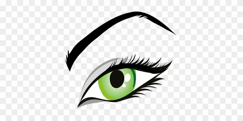 Eye Green Eyes Iris Eyelid Eyebrows Brows - Eye Clipart #219552