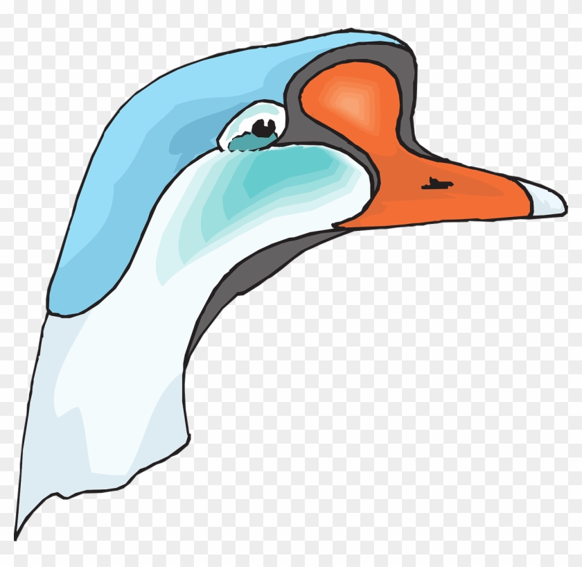 Beak Head, Blue, White, Bird, Goose, Animal, Beak - Cabeza De Ganso Png #219572