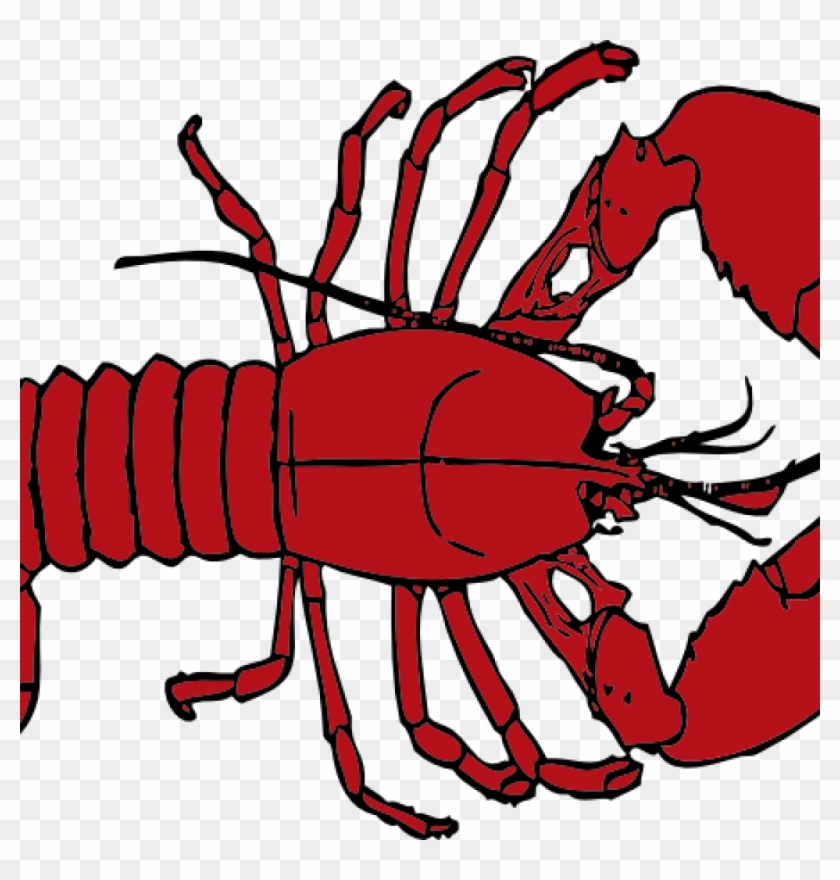 Free Free 196 Friends Lobster Svg Free SVG PNG EPS DXF File