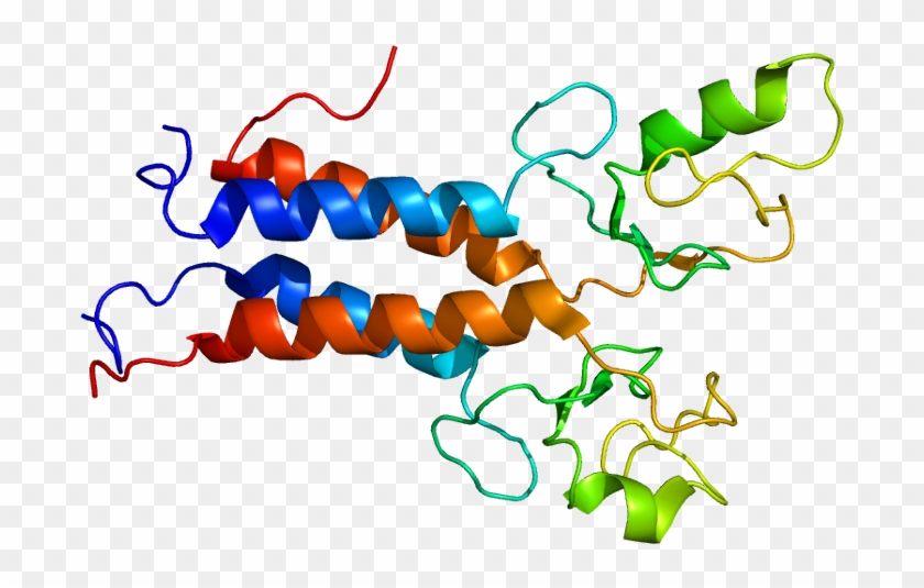 Brca1 Gene #219638