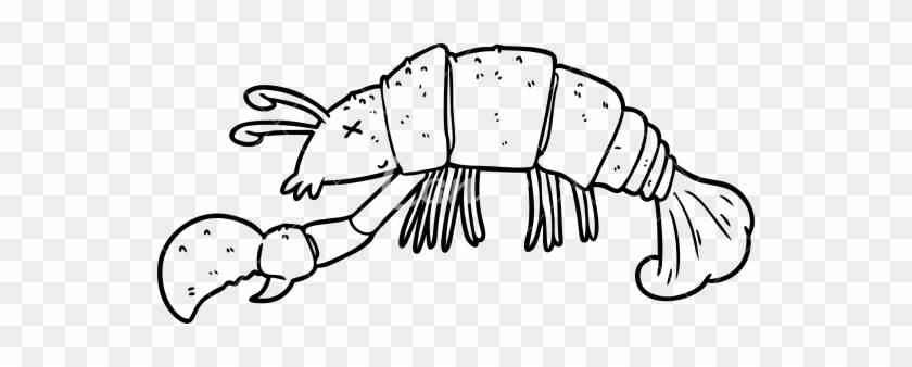 Lobster Cartoon Drawing - Crayfish #219724