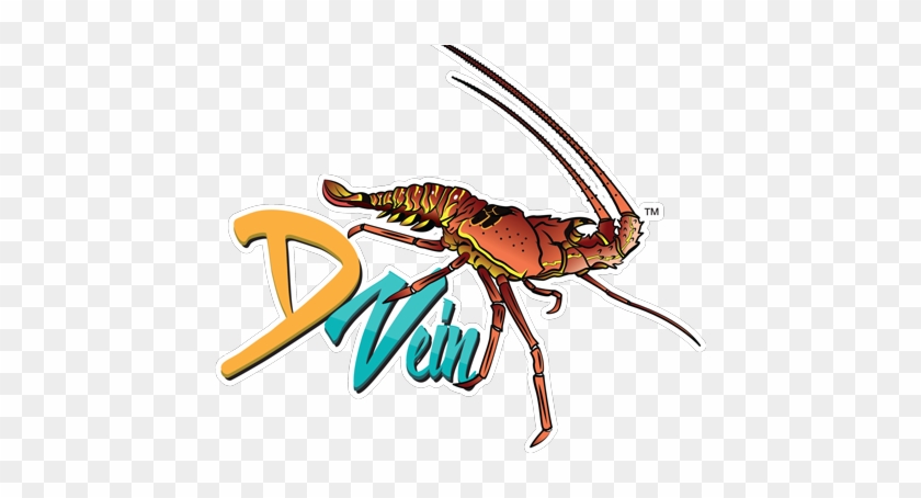 Meet D Vein Company - Insect #219736