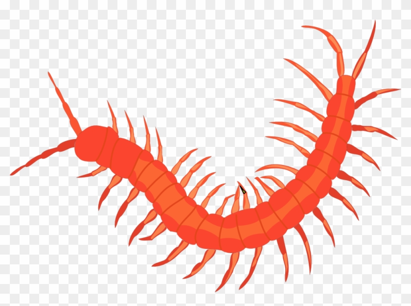 Worm 3 Svg - Insect Png #219738