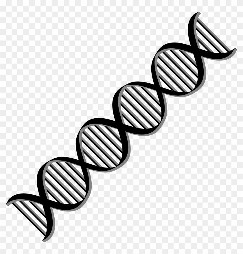 Black Dna Clipart - Dna Helix Png #219825