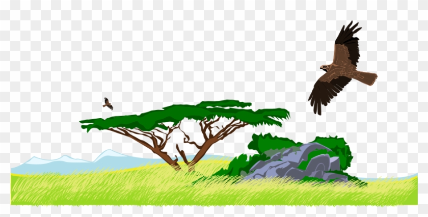 Steppe Clip Art - Jungle Clip Art #219859