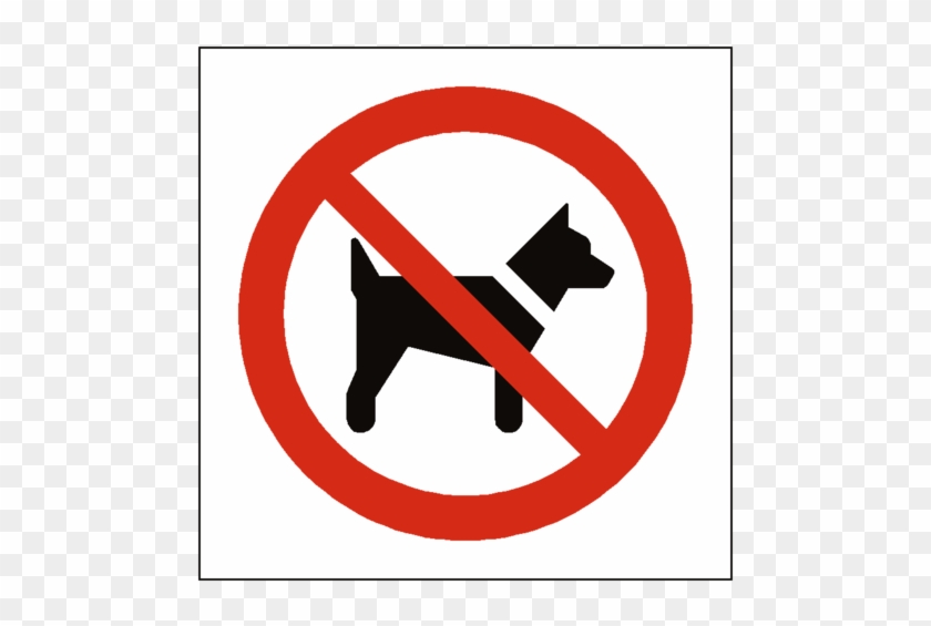 No Dogs Symbol Sign Safety-label - No Dogs Sign #219922