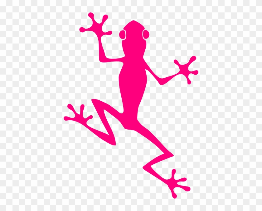 Frog Vector Free #220259