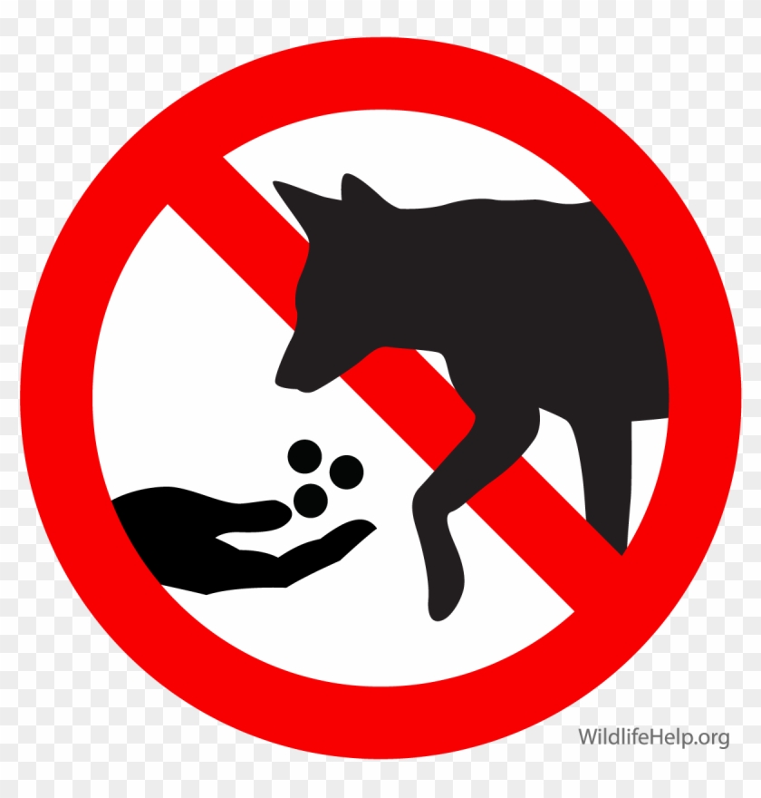 Coyote Clipart Maryland - Do Not Feed Dog #220363