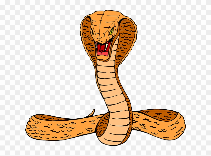 Curled Head, Snake, Orange, Cobra, Raised, Hissing, - Cobra Clipart - Free  Transparent PNG Clipart Images Download