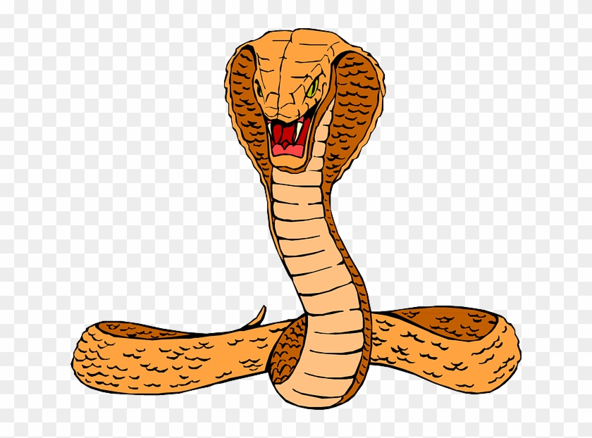 Curled Head, Snake, Orange, Cobra, Raised, Hissing, - Cobra Clipart #220620