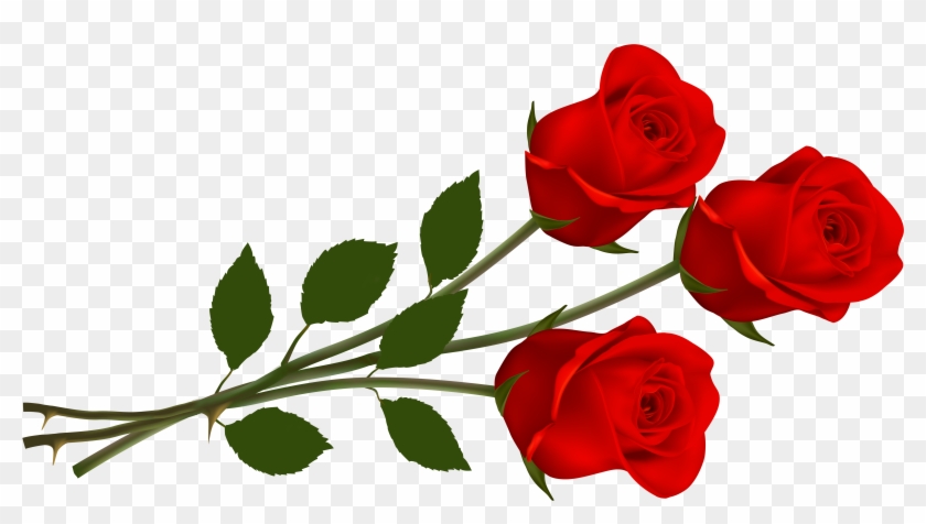 Large Red Roses Png Clipart - Rose Png Hd #220939