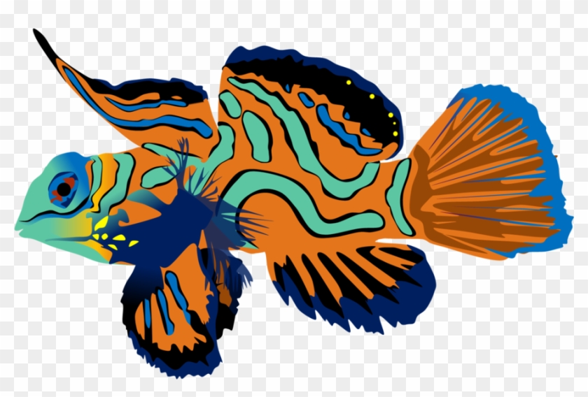 Mandarin Fish By Adamzt2 - Mandarin Fish Png #221086