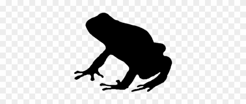 Amazing Family Silhouette Clip Art Frog Silhouette - Poison Dart Frog Silhouette #221147
