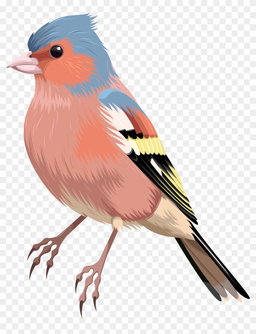 Bird Png Clip Art - Bird Png Clip Art #221168