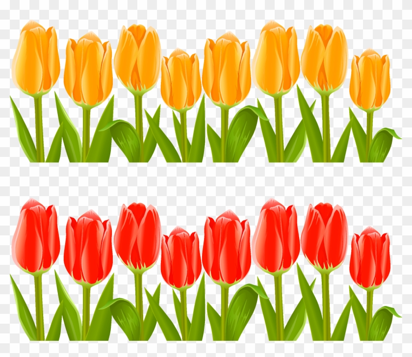 Indira Gandhi Memorial Tulip Garden Flower Clip Art - Indira Gandhi Memorial Tulip Garden Flower Clip Art #221591