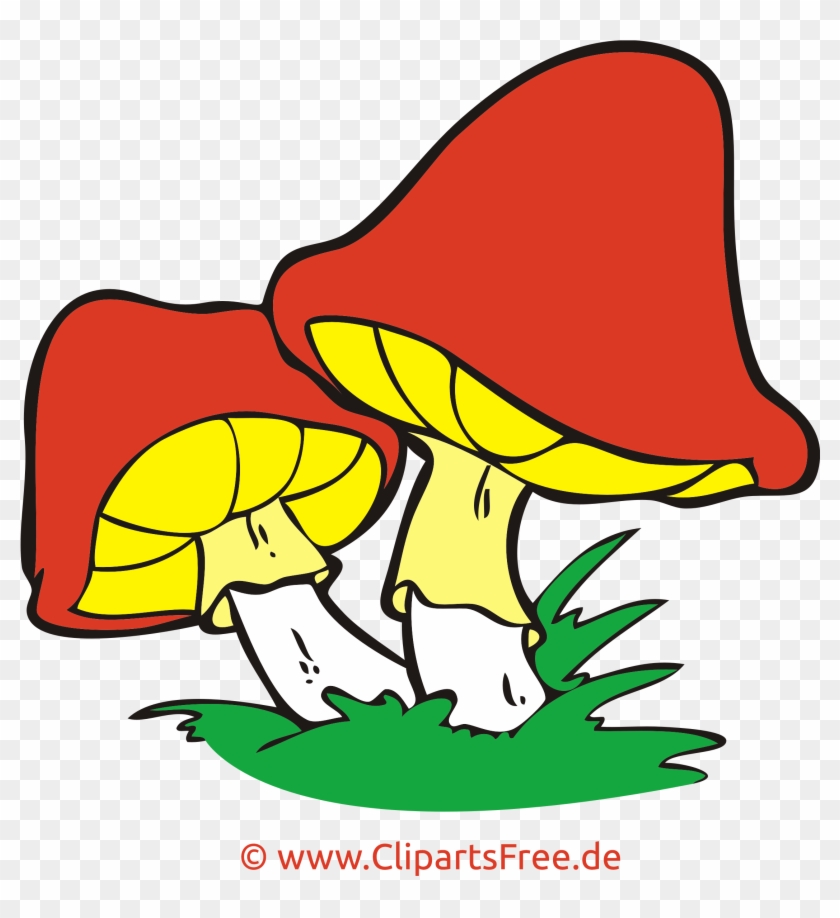 Pilze Im Wald Png Clipart, Bild, Cartoon Kostenlos - Clip Art #221576