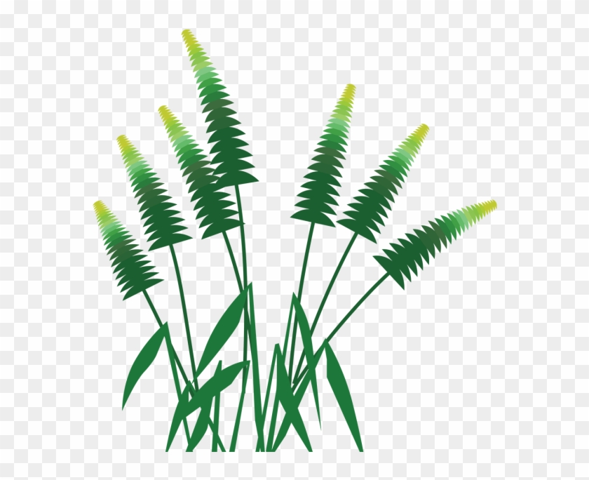 Forest Palm Tree Grass, Forest, Palm, Tree Png And - Forest #221593