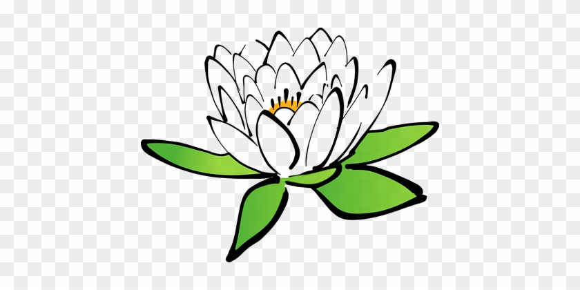 Lotus Flower Water Lily White Water Lily B - Clip Art Lotus #221729