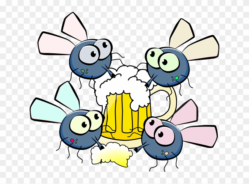 Słówko Na Niedzielę - Fly Drinking Beer #221952