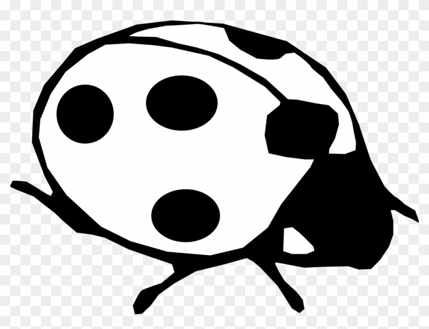 White Clipart Ladybug Pencil And In Color Black - Lady Beetle Black And White #222197