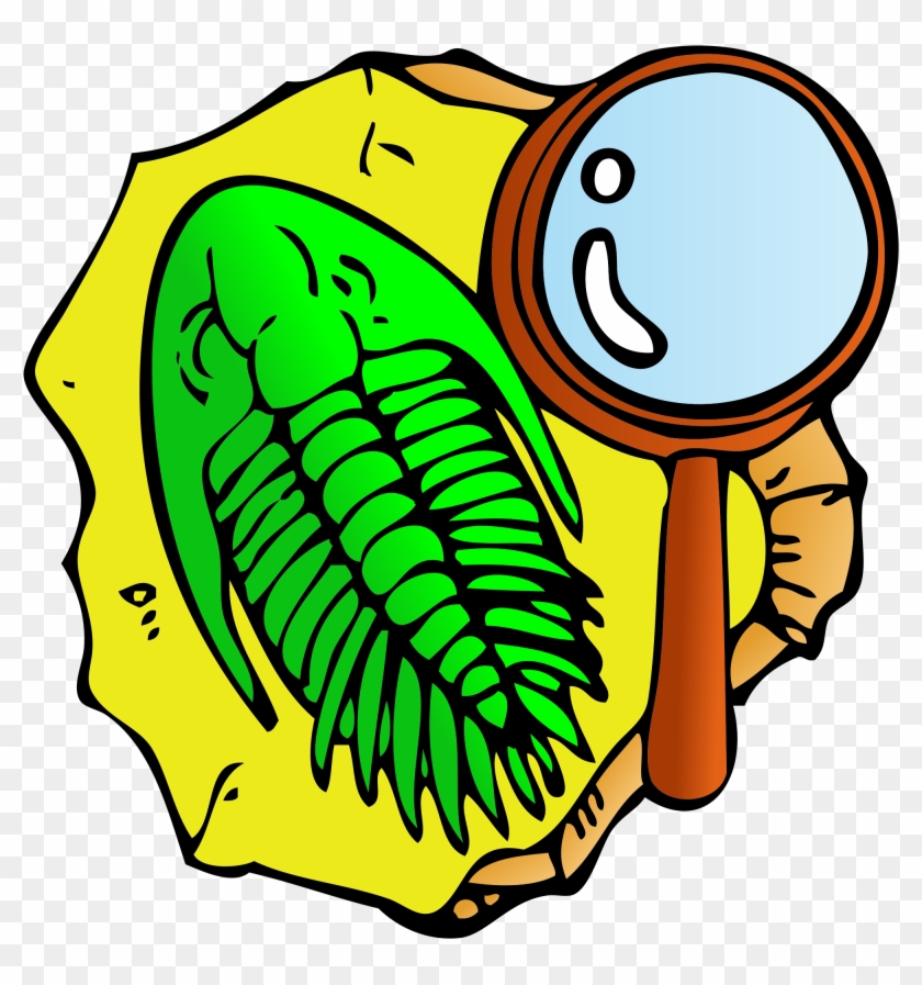 Open - Fossils Clipart #222275