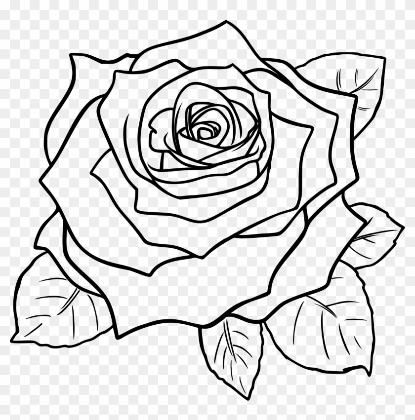 Rose Outline Line Drawing Of A Rose Free Download Clip - Rose Clipart Black And White #222363