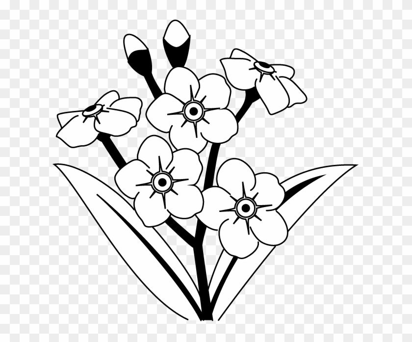 Most Popular Categories - Forget Me Nots Flowers Drawing #222368