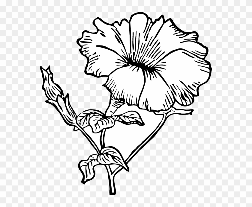 Drawn Clock Flower Opening - Petunia Clip Art #222372