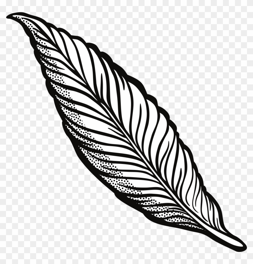 Clipart - Feather Clipart Transparent #222381