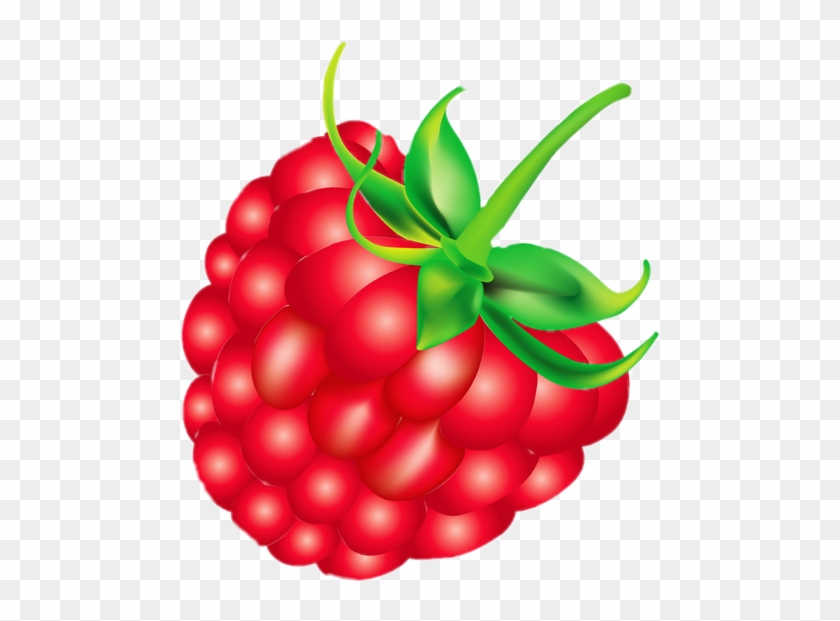 Framboise Dessin Png #1411737