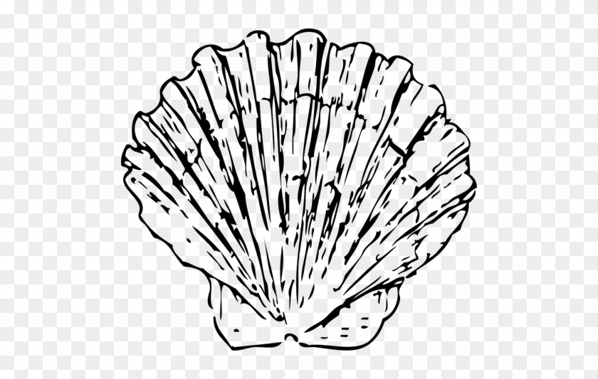 Clipart Free Scallop Shell Drawing At Getdrawings - Scallop Black And White #1411900