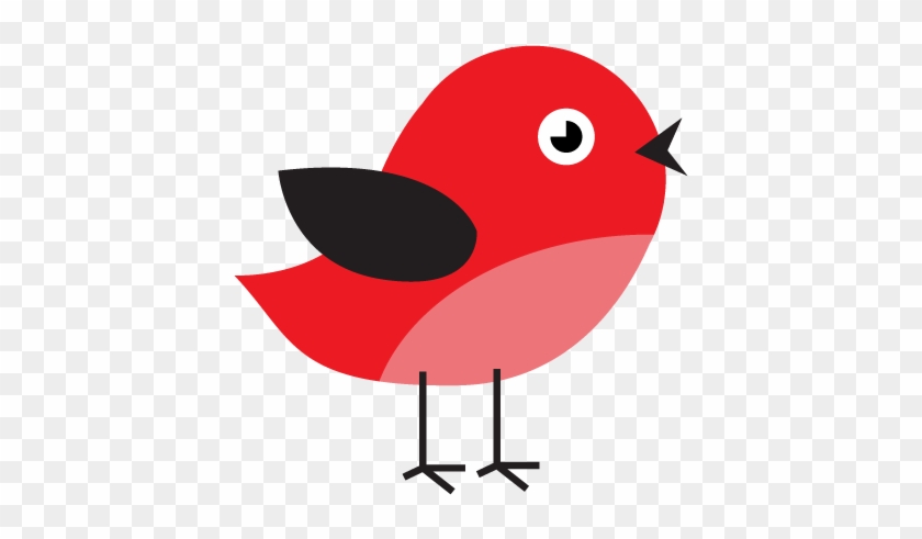 Little Bird On Twitter - Perching Bird #1412011
