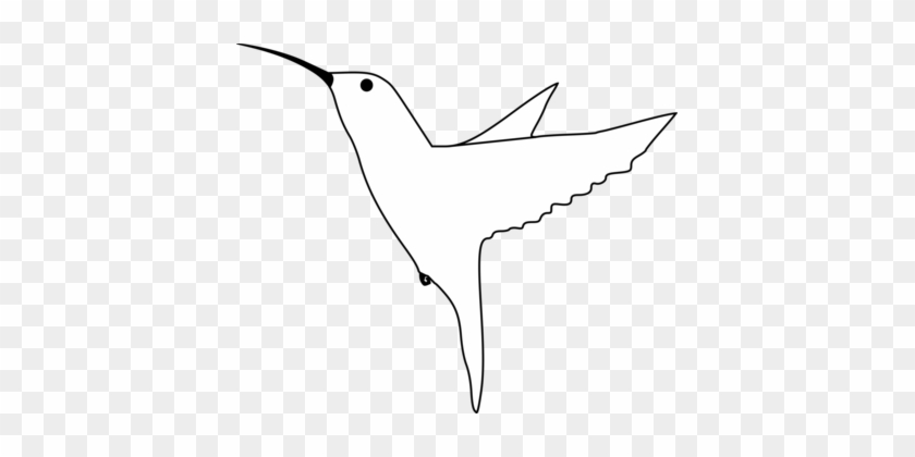 Bird Drawing Gulls Animal Line Art - Bird Drawing Side View #1412023