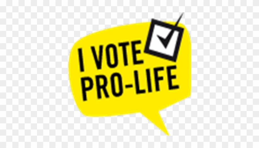 Vote Pro-life - Aimbot Memes #1412109